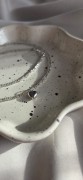 20260211_093206.jpg